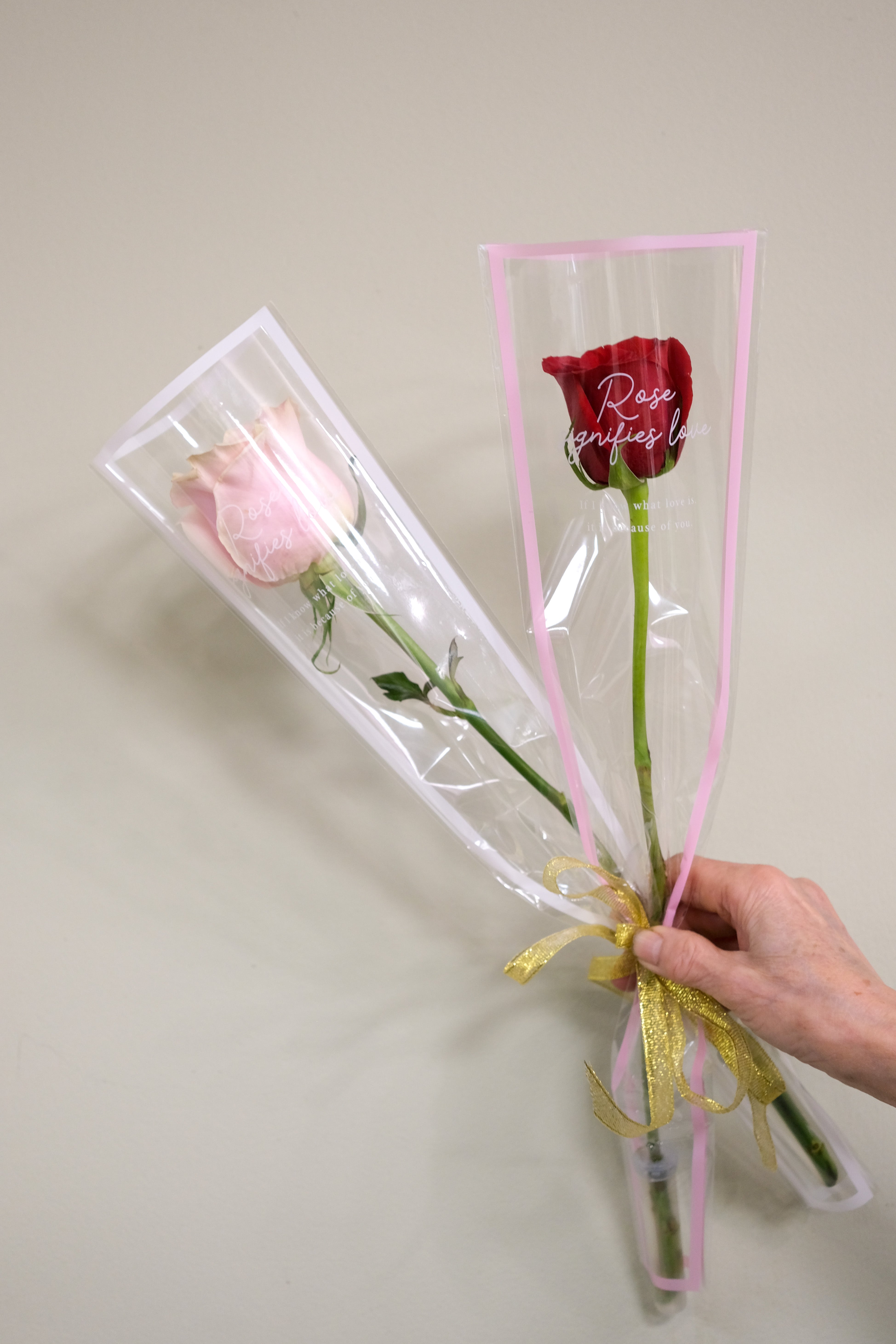 Rose of Appreciation