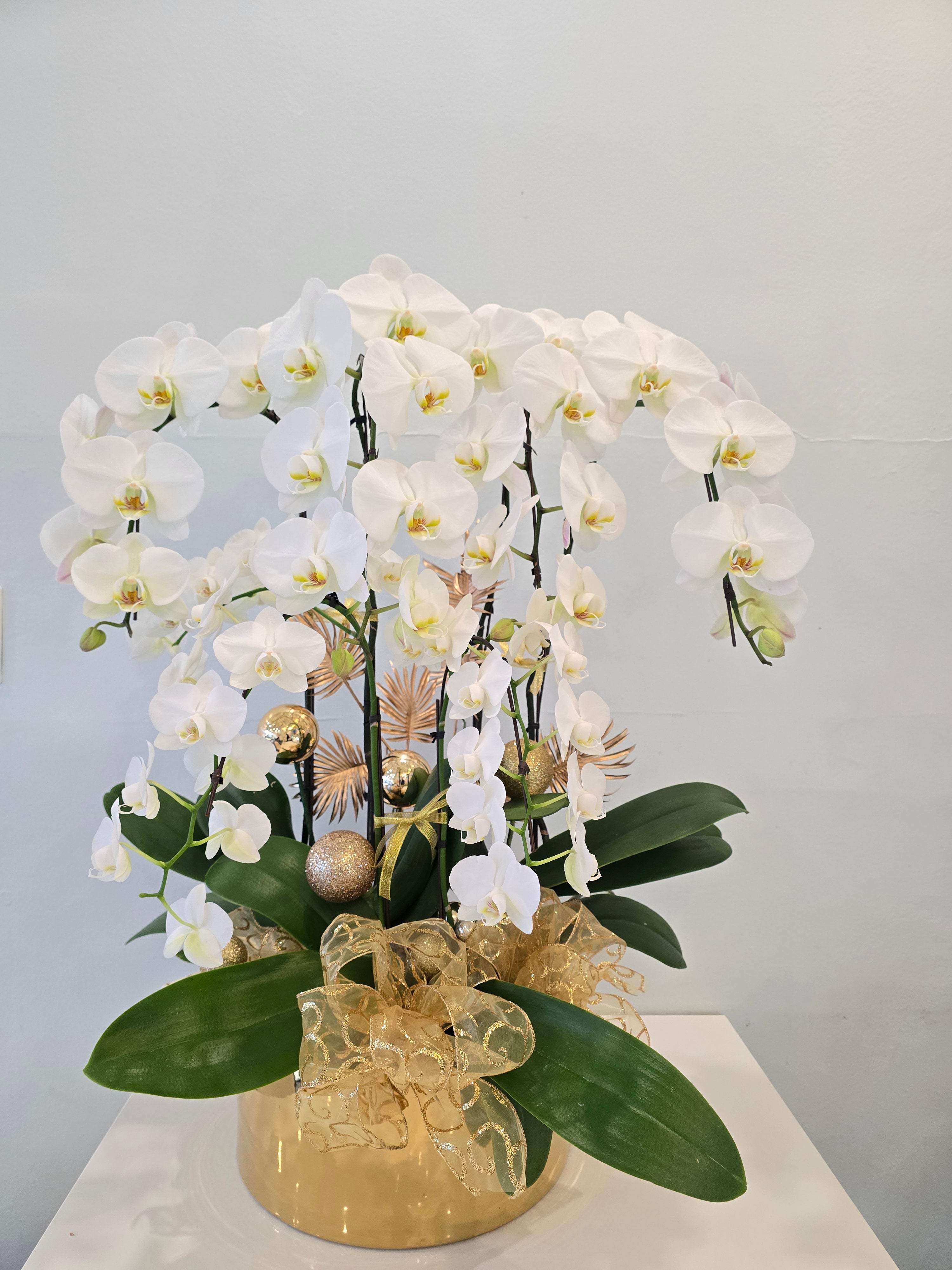 Luxury Orchid Planter