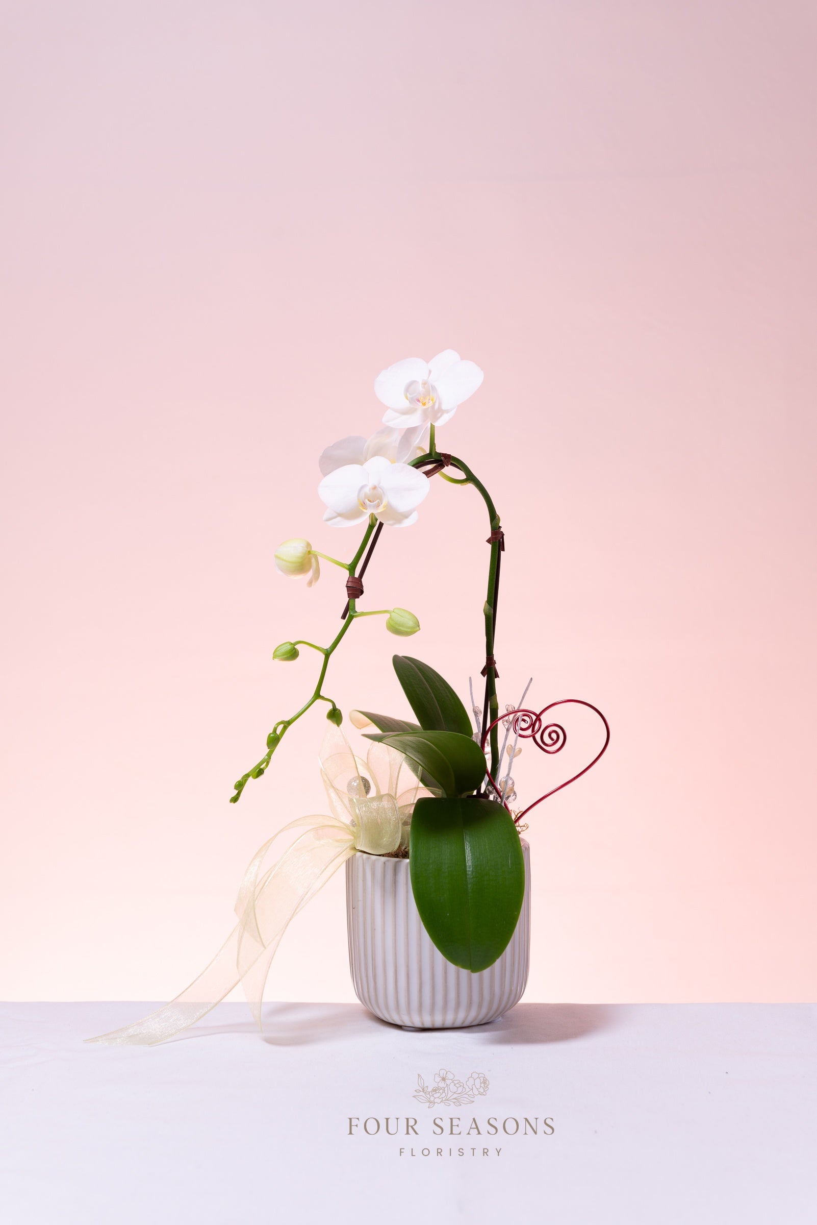 Orchid Planters - Four Seasons Floristry