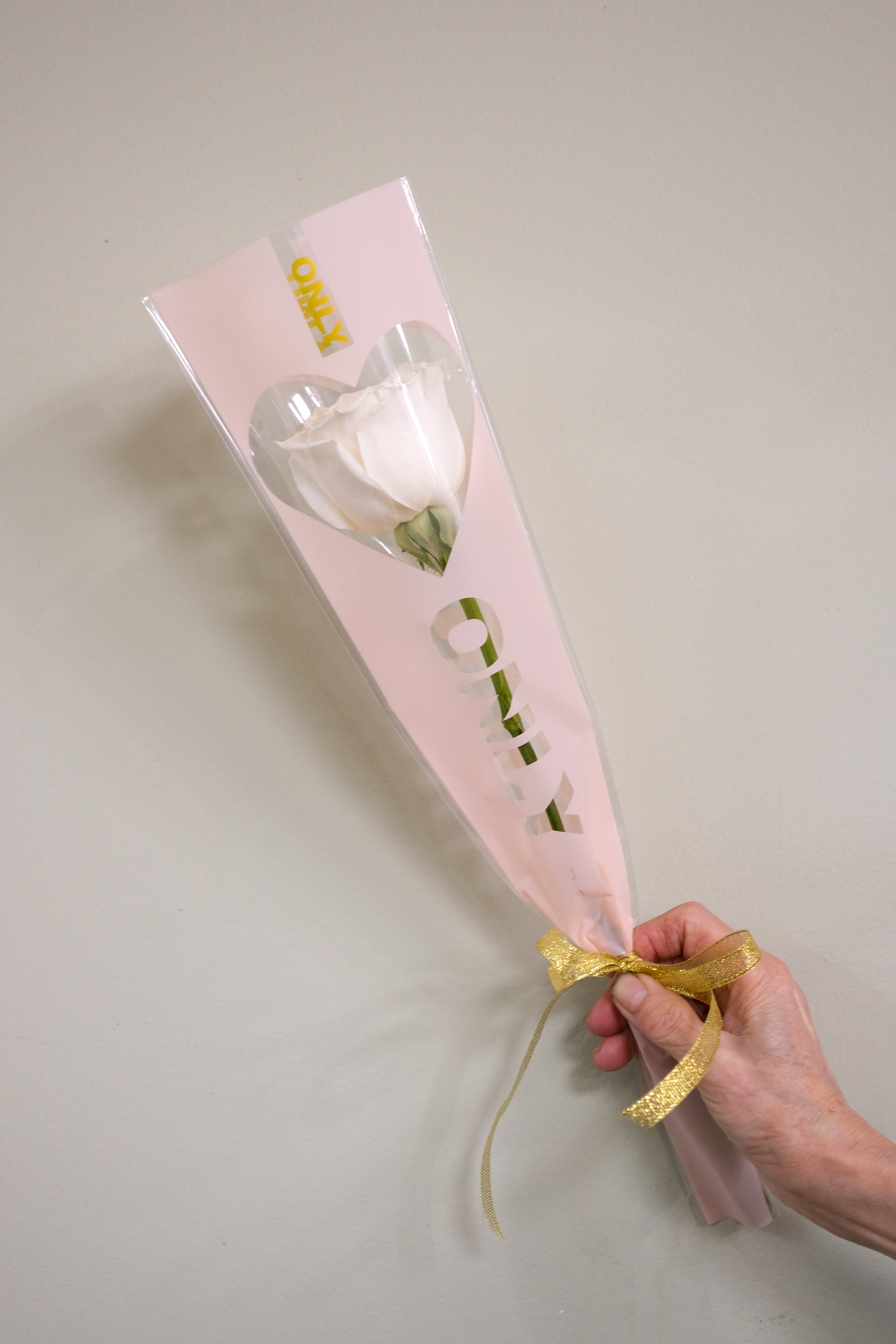 Rose of Appreciation