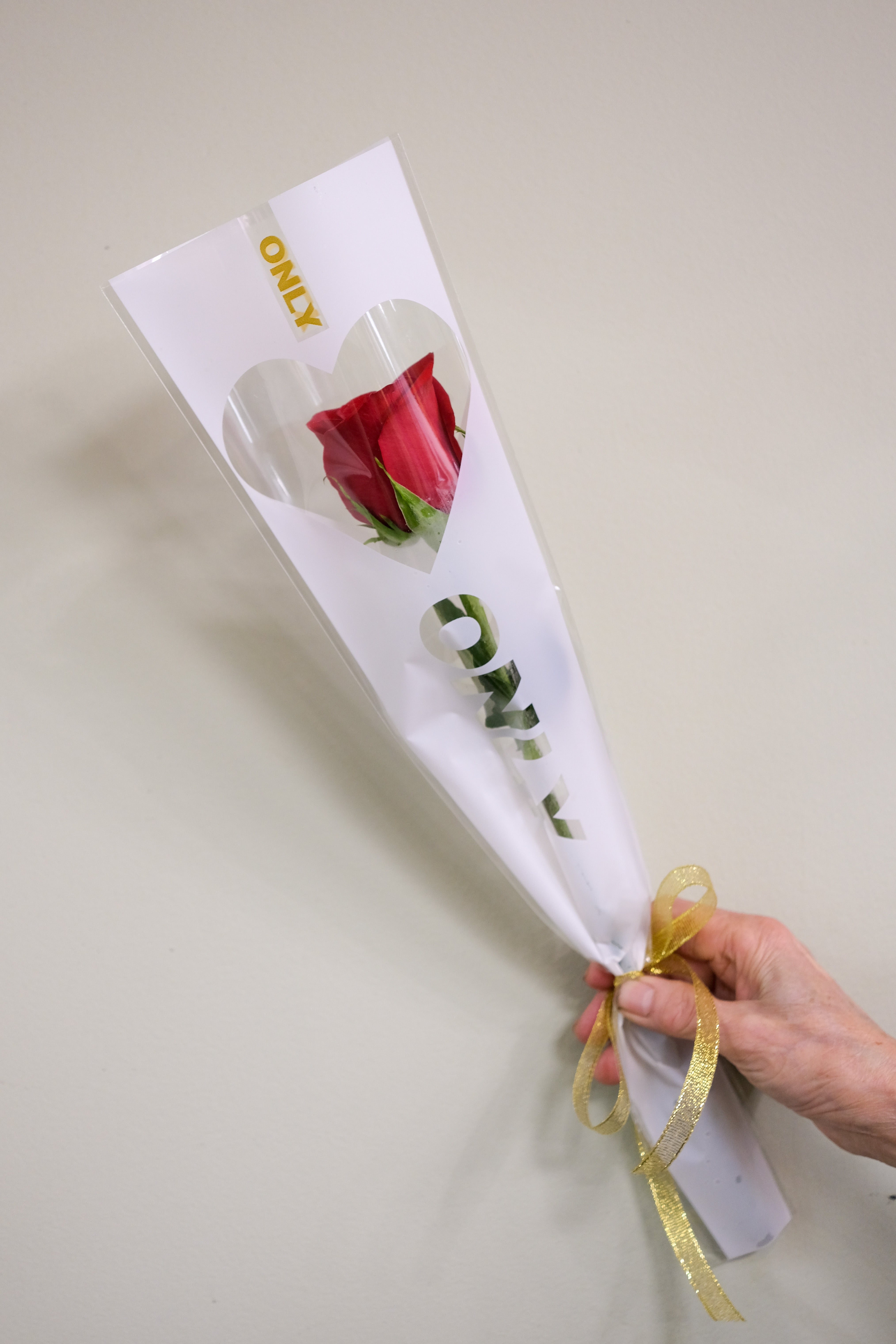 Rose of Appreciation