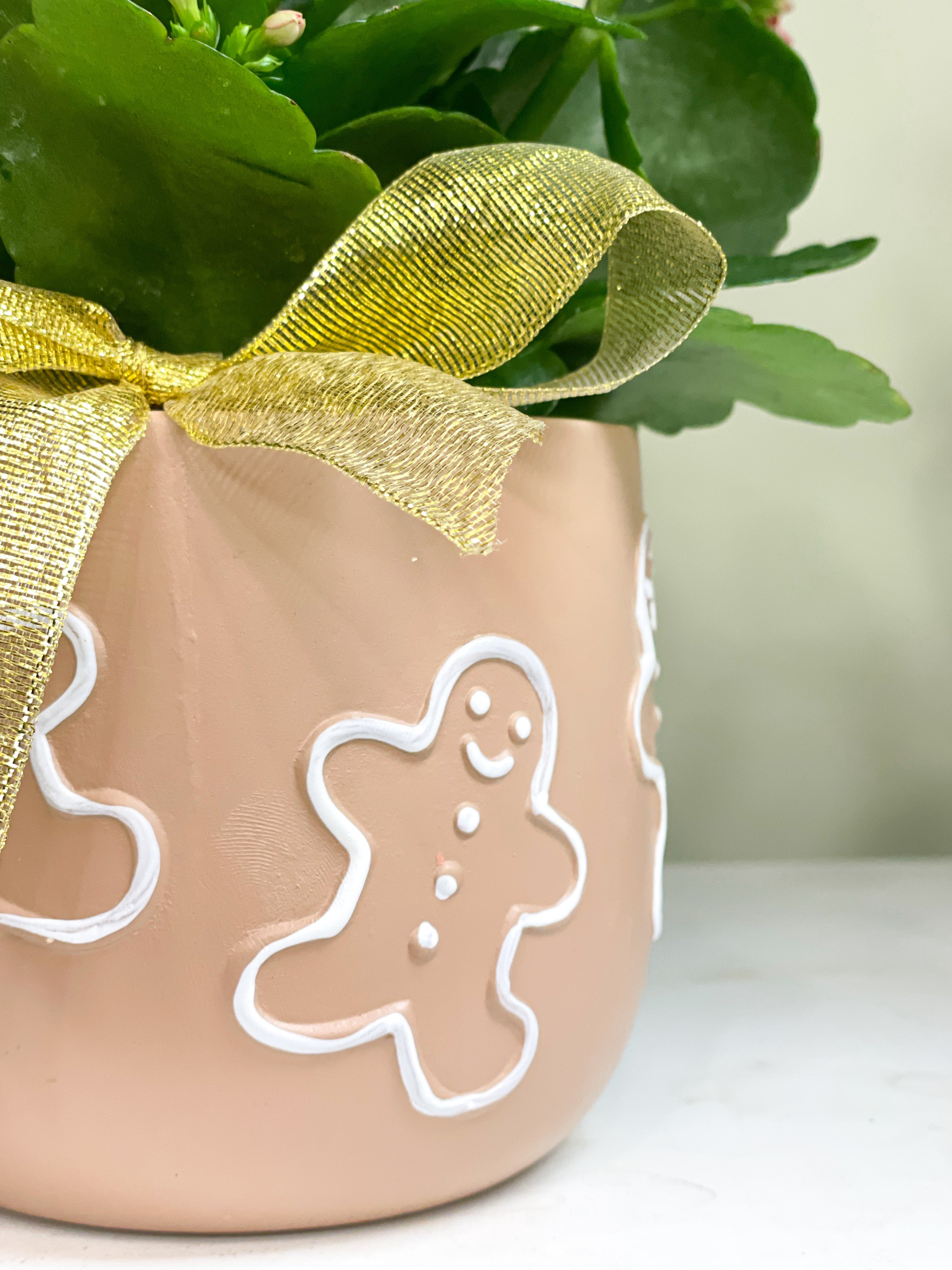 Red Planted Kalanchloe