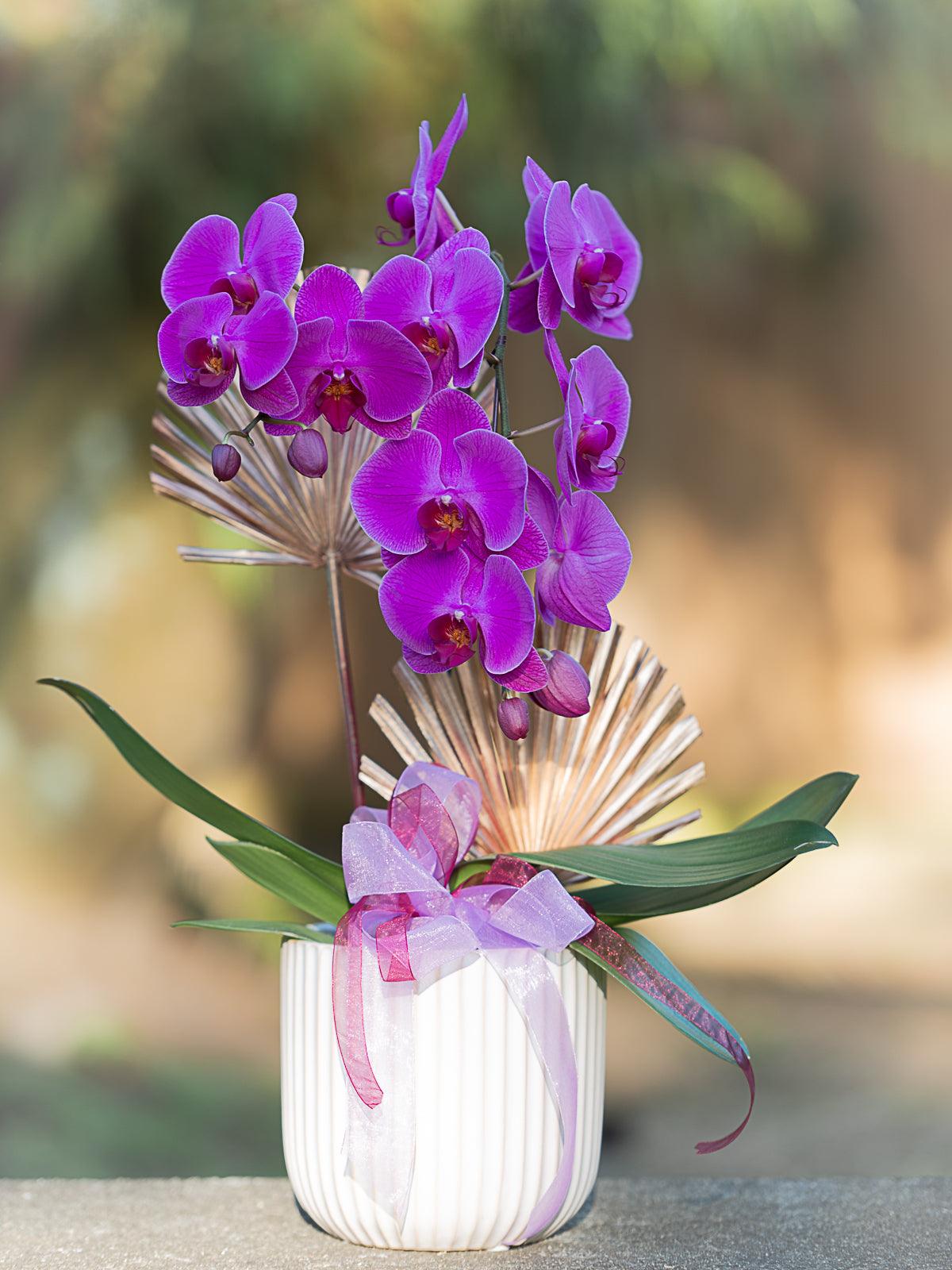 Orchid Planter - Four Seasons Floristry