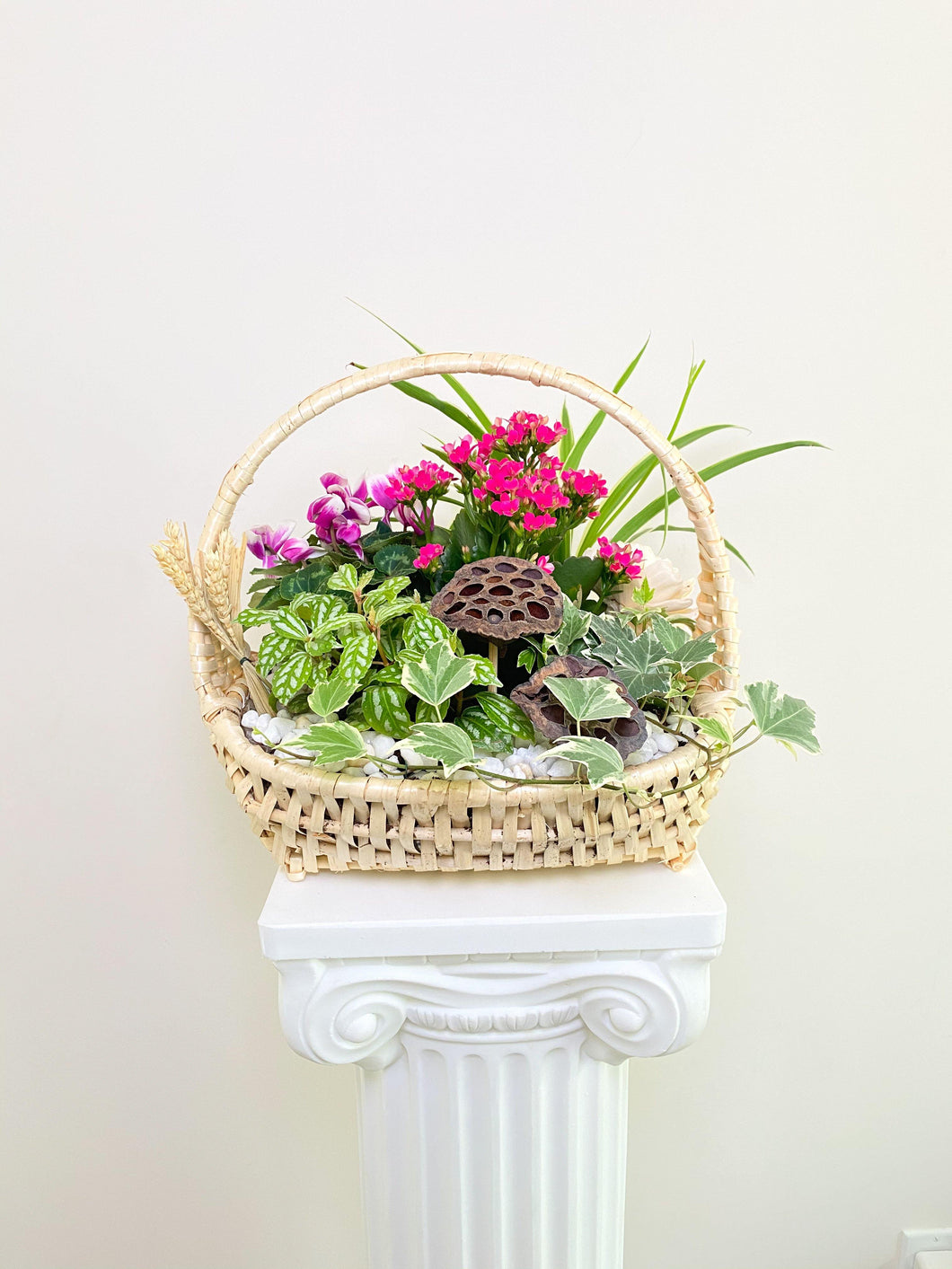 Stylish Plant Galore - Four Seasons Floristry