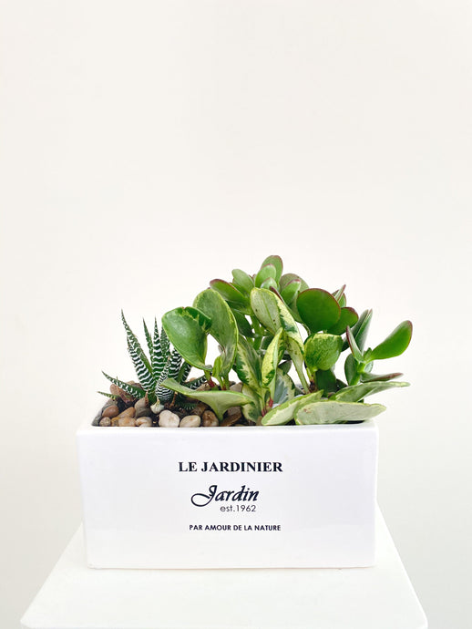 West Coast Planter - Four Seasons Floristry