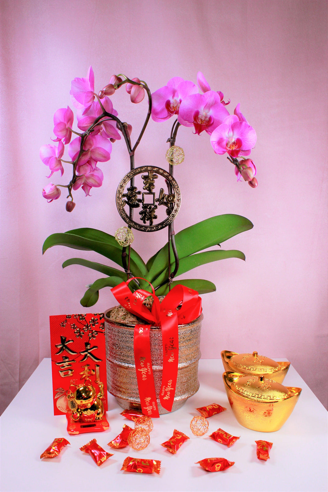Double Stemmed Orchid Planter - Four Seasons Floristry